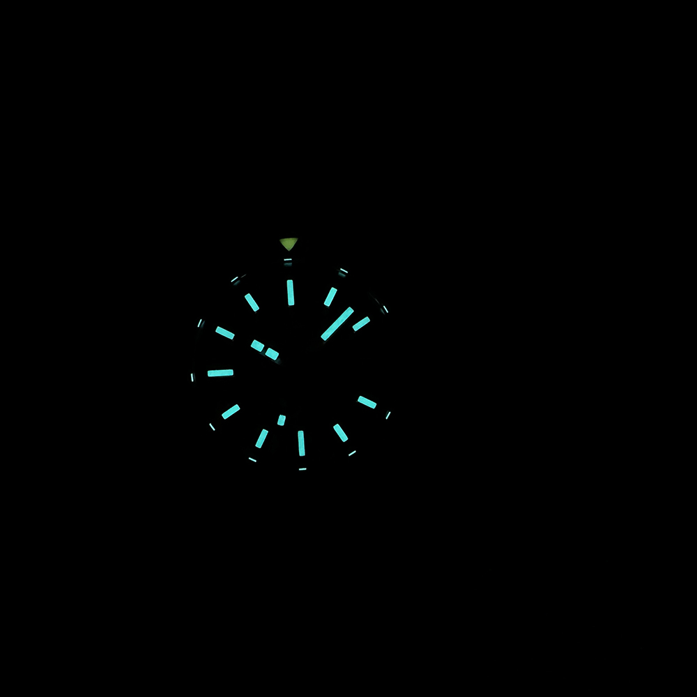 STEELDIVE Official SD1927 BGW9 - Seiko Watch Prospex 评论和价格